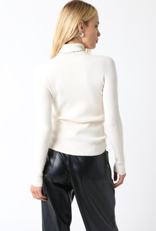 Dolli Turtleneck